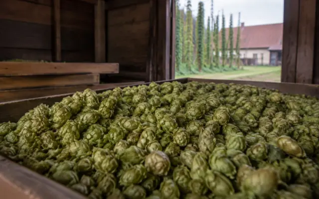 Produse din Sibiu